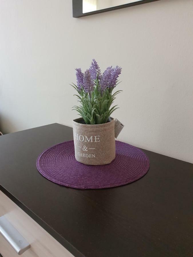Orchid Studio Altın Kumlar Dış mekan fotoğraf