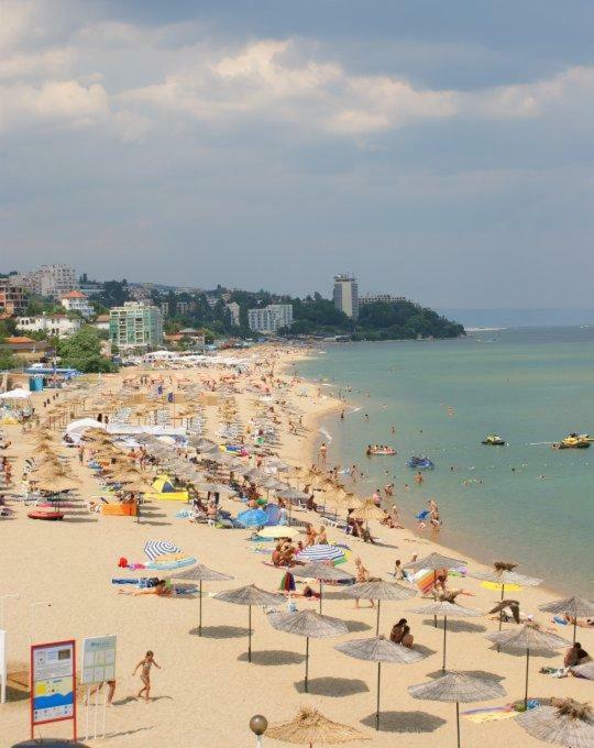 Orchid Studio Altın Kumlar Dış mekan fotoğraf